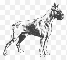 Dog Clipart Boxer Dog Boxer Transparent Free For Download - Boxer Dog Line Vector Emoji,Emoji Boxers