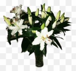 The Most Edited Cummins Picsart - Madonna Lily Emoji,Cummies Emoji