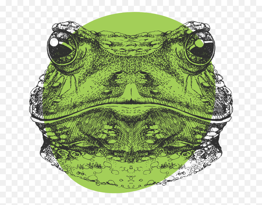 Psychoactive Toad Venom Bufo Alvarius - Tripsitter Frog With Crown Drawing Emoji,Beutiful Predator - Synthetic Emotions