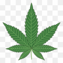 Marijuana Leaf Clip Art Image - Marijuana Png Emoji,Marjuana Emoji