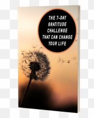 Be Kind Premium Plr Package High Quality Kindness Premium Plr - Best Short Quotes For Smile Emoji,Motor Volunter Emotion