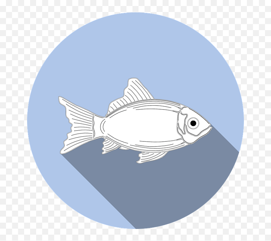 Free Photo Allergy Icon Symbol Sign Fish No Fishing Food Emoji,Fish Emotions