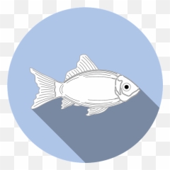 Free Photo Allergy Icon Symbol Sign Fish No Fishing Food Emoji,Fish Emotions