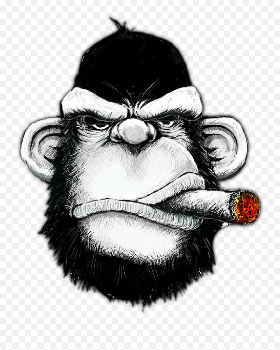 Gorilla Face Png - Gorilla Sticker Monkey With Cigar Monkey Cigar Emoji,Where Is The Gorilla Emoji