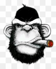Gorilla Face Png - Gorilla Sticker Monkey With Cigar Monkey Cigar Emoji,Where Is The Gorilla Emoji