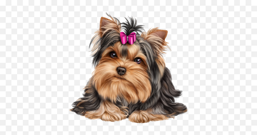 Yo Yo Yorkies U2013 Buy Yorkies Dog At Best Price Emoji,Yo Yo Emoji