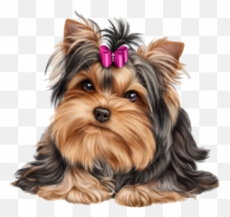 Yo Yo Yorkies U2013 Buy Yorkies Dog At Best Price Emoji,Yo Yo Emoji