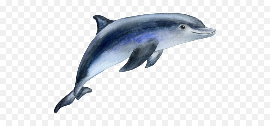 The Most Edited - Common Bottlenose Dolphin Emoji,Dolphin Emoji Pillow