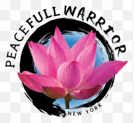 Peacefull Warrior - Fitness Studio In Tappan Ny Emoji,Lotus Emoji Flower