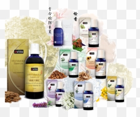 Meridian Therapy - Avita Tcm Oils Emoji,Emotions And Essential Oils