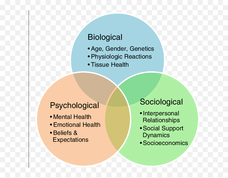 Image Result For Biopsychosocial Model - Biopsychosocial Model Emoji,Theories Of Emotion Mcat Mnemonics