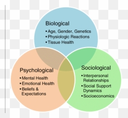 Image Result For Biopsychosocial Model - Biopsychosocial Model Emoji,Theories Of Emotion Mcat Mnemonics