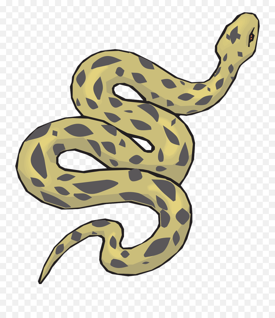 Anaconda Png Image With Transparent - Desert Snake Clipart Emoji,Snake Boot Emoji