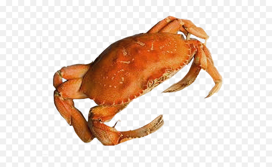 Crab Png Images - Crab Png Transparent Emoji,Pinching Crab Emoticon