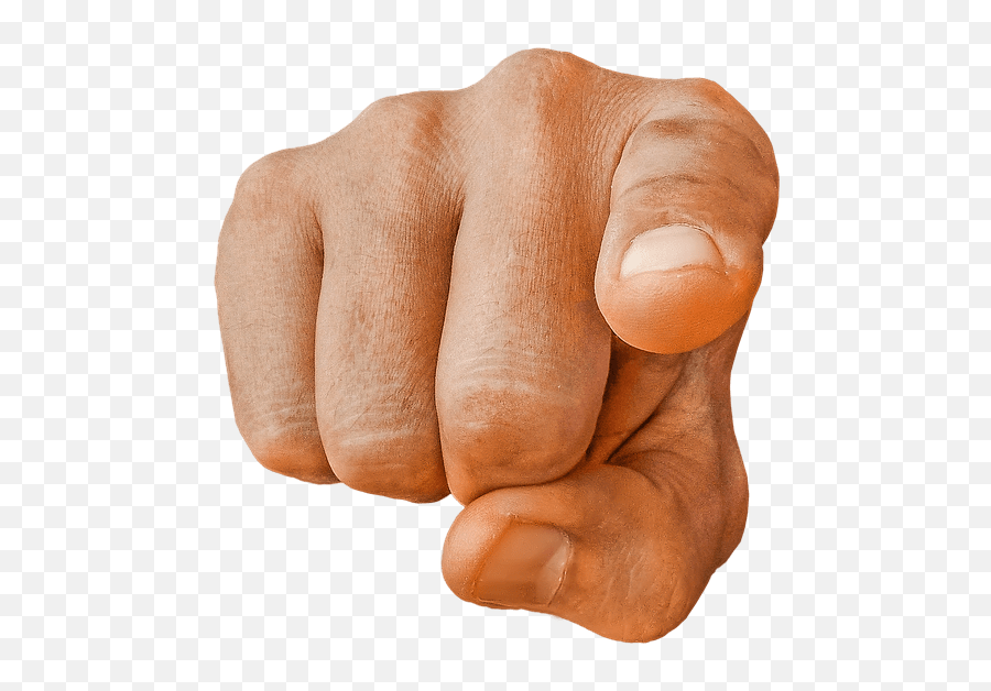 Fred Durst Updates - Finger Pointing At You Emoji,Emoji Simply Nailogical