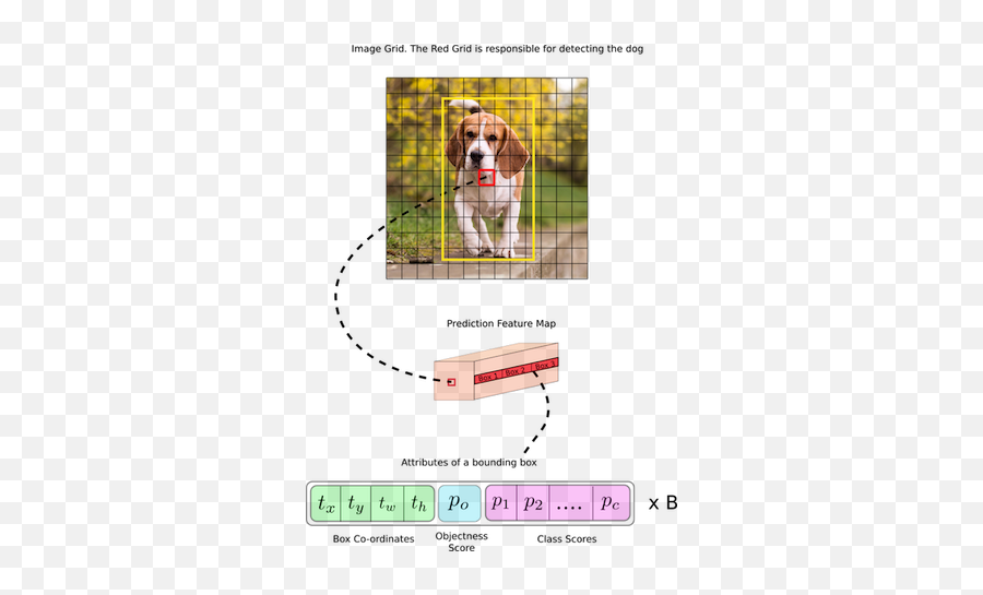 Face Mask Detector Using Deep Learning Yolov3 By - Yolov3 Bounding Box Emoji,Emotion Balaclava