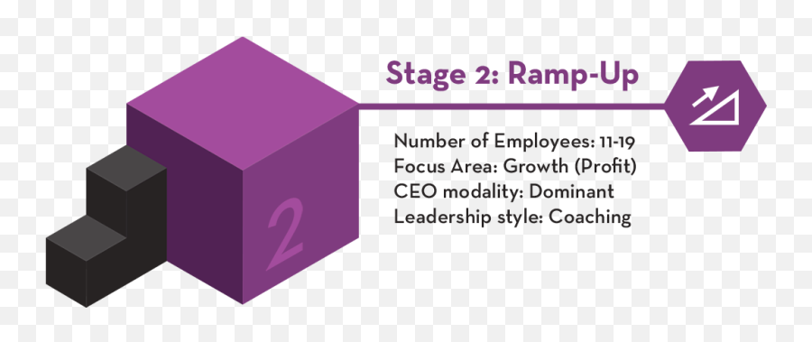 Leadership Competencies For Stage 2 Companies - Strategic Emoji,Emotions Of The Discstyles