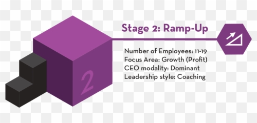 Leadership Competencies For Stage 2 Companies - Strategic Emoji,Emotions Of The Discstyles