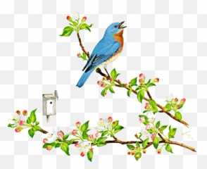 Symbols Of New York State - New York State Flower And Bird Emoji,Fb Emoticons?trackid=sp-006