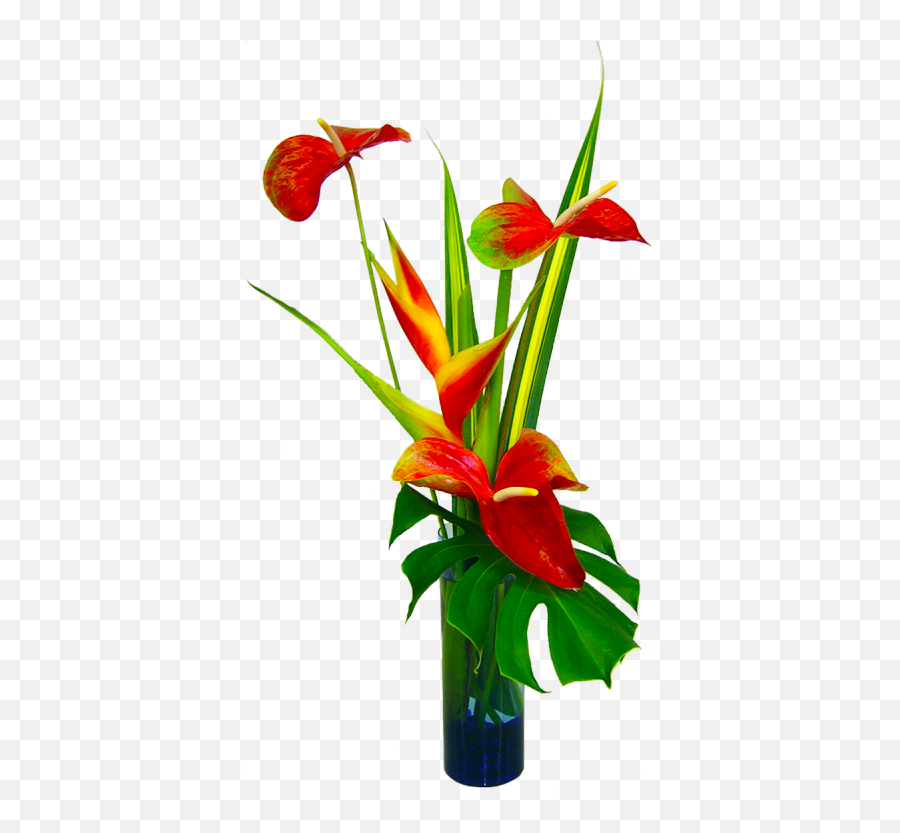 Free Tropical Flower Clipart Download Free Tropical Flower Emoji,Tropical Flower Emoticon