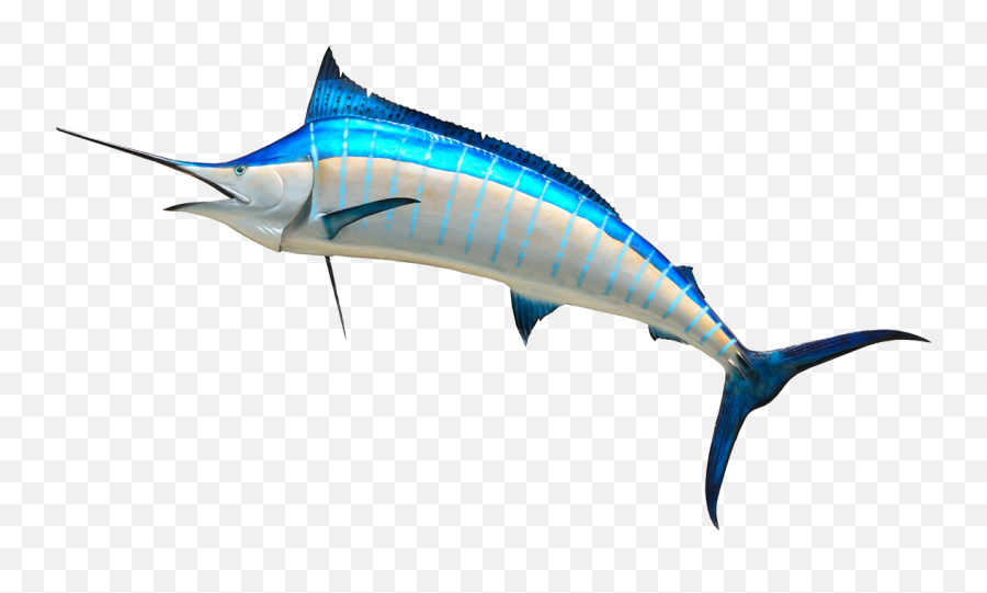 Fish Clip Art - Blue Marlin 4k Emoji,Swordfish Emoji
