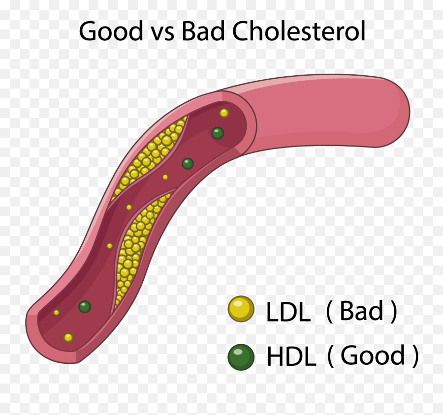 Goodvsbad Cholesterol - Good Bad Cholesterol Clipart Full Hdl Cholesterol Emoji,Bad Smell Emoji