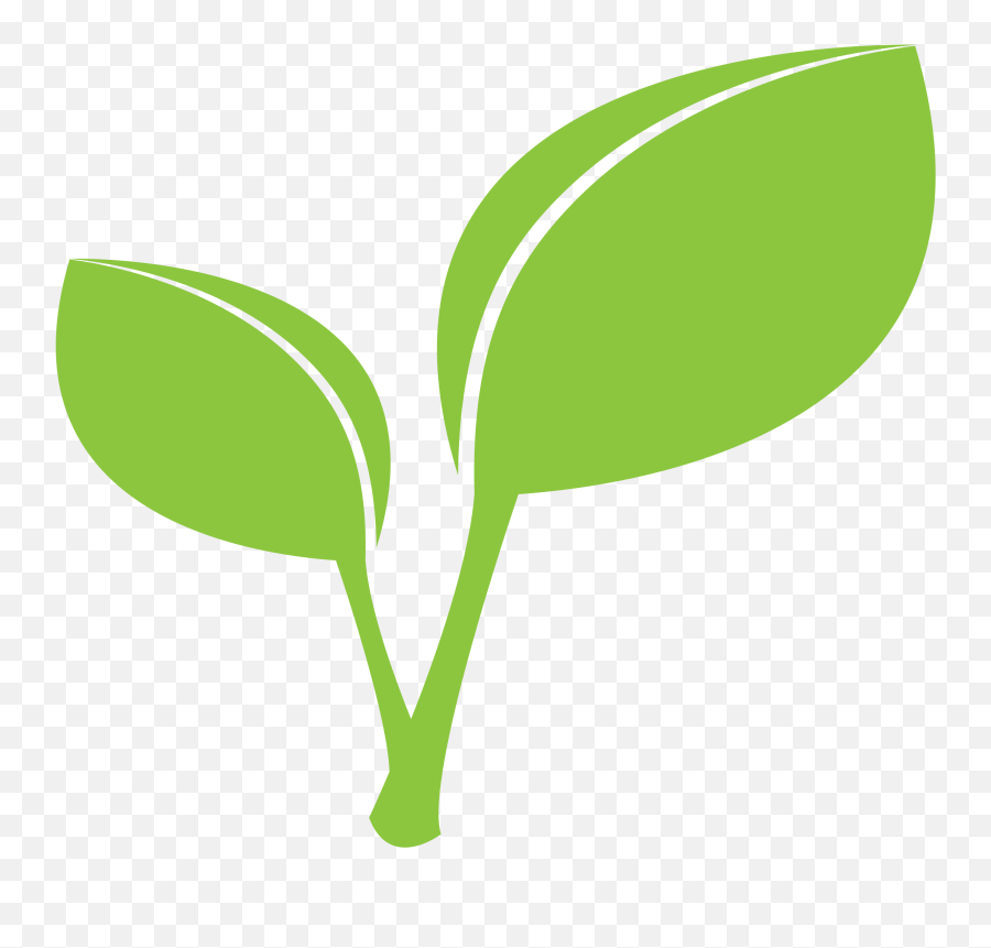Clipart - Green Leaf Png Clipart Transparent Png Full Size Clipart Green Leaf Png Emoji,Maple Leaf Emoji Png