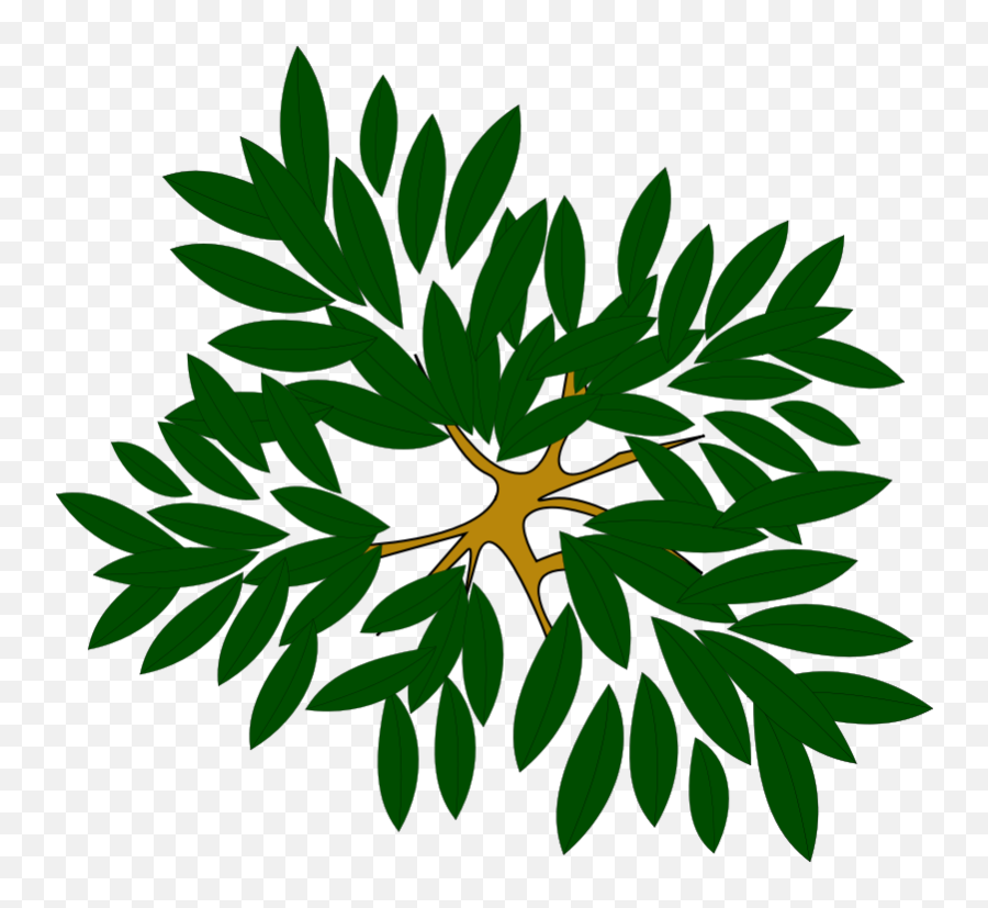 Tree Icon Png - Tree Clump Clipart Icon Png Tree Icon Top Tree Icon Png Top View Emoji,Pine Tree And Plant Emojis Facebook