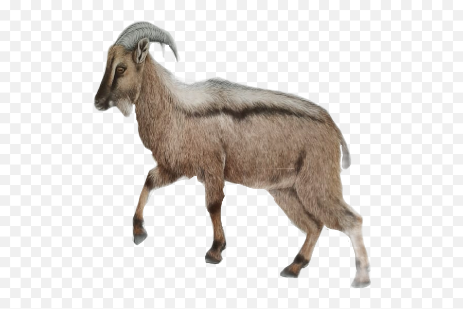 Discover Trending Goat Stickers Picsart - Animal Figure Emoji,The G.o.a.t Emoji