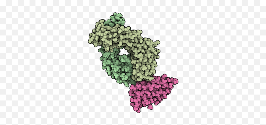 Durvalumab - Durvalumab Molecule Emoji,Monoclonal Emoji