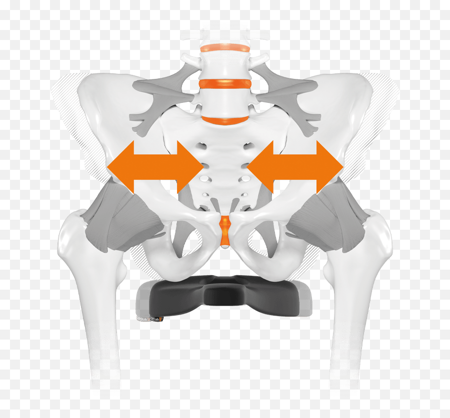 Pelvis Sit Bone Pain While Cycling Saddle Ergonomics - Becken Mann Frau Unterschied Emoji,It Was The Sort Of Bone Deep Emotion