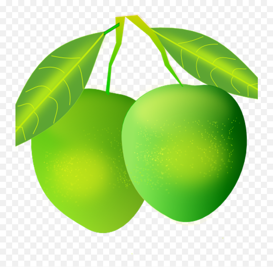 Use Mango Clipart Transparent Png - Ugadi Mango Images Png Emoji,Salt Bae Custom Emoji