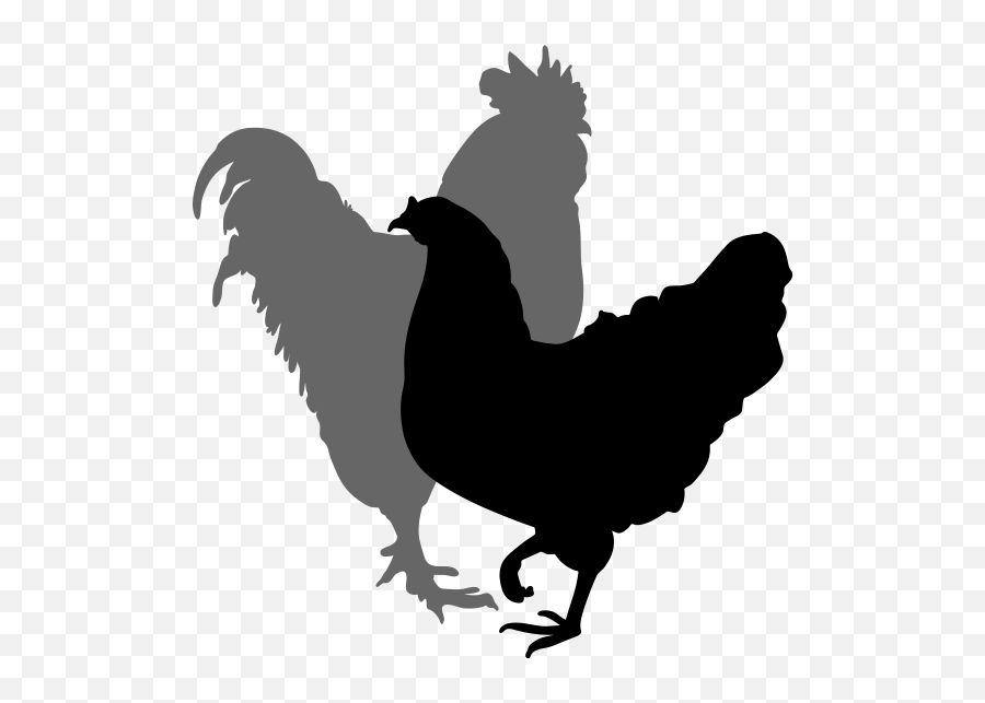 Muscle Clipart Rooster Muscle Rooster - Hen And Rooster Chicken Silhouette Emoji,Hand Rooster Emoji