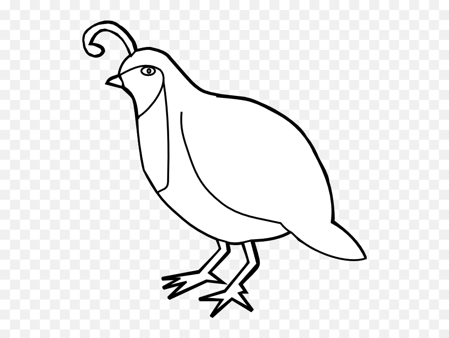 Quail Clipart Bob White Quail Quail - Mewarnai Gambar Burung Puyuh Emoji,Quail Emoji