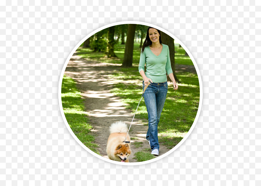 Professional Dog Walking - Northern Breed Group Emoji,Dogs Pick Up On Our Emotions