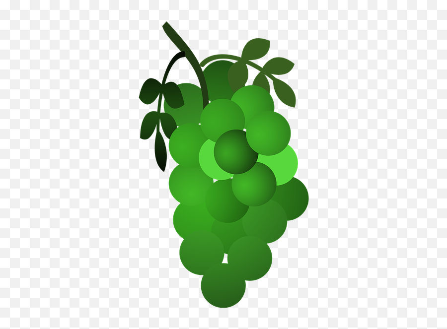 Fruit - Free Icon Library Diamond Emoji,Green Grape Emoji