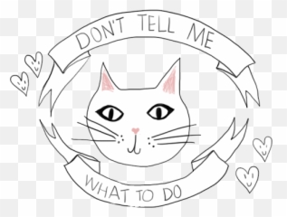 Crazy Cats Crazy Cat Lady - Header Tumblr Cat Emoji,Crazy Cat Lady Emoji