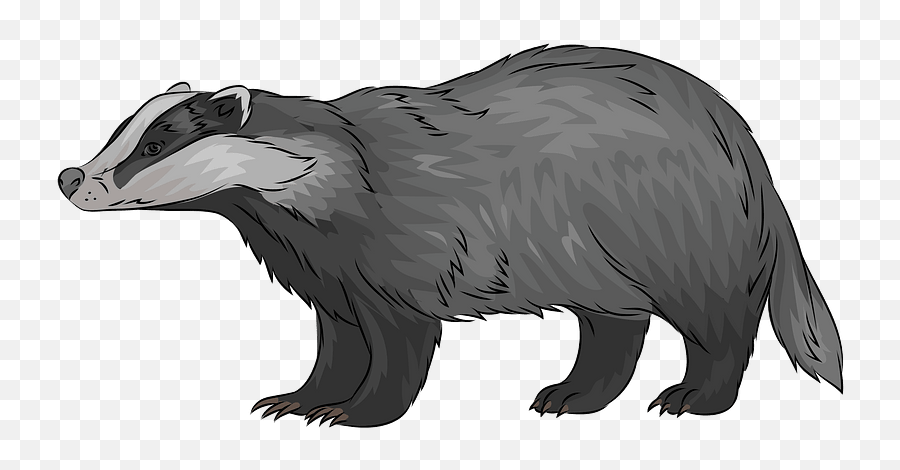 European Badger Clipart - Badger Clipart Emoji,Honey Badger Emoji