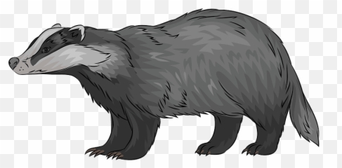 European Badger Clipart - Badger Clipart Emoji,Honey Badger Emoji