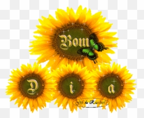 Bom Dia Girassol Gifs - Sol Gifs Bom Dia Emoji,Emoticons Para Bom Dia