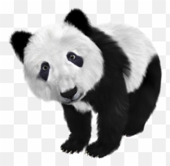 Free Black White Black Illustrations Emoji,How To Draw Emotions Furry