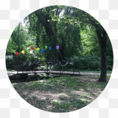 About Us - Shade Emoji,We Are Plants With Complex Emotions