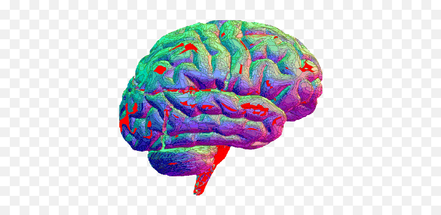 Adhd Brain Sticker - Brain Gif Transparent Background Emoji,Gif Emotion Asynchrony