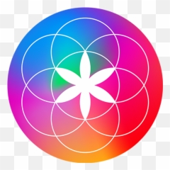 Photo Animation App U0026 Software Photo Editing U0026 Video Emoji,Art & Emotion Swiss Gallery