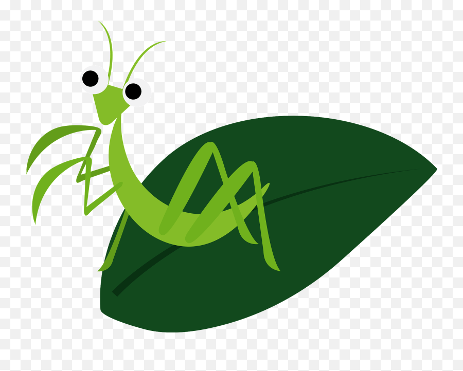 Mantis Insect - Parasitism Emoji,Mantis Emoji