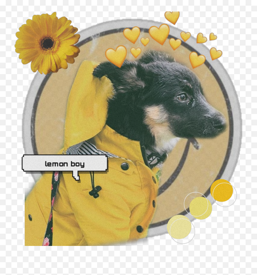 Spencer Ethannestor Ethan Sticker - Northern Breed Group Emoji,Emoji Stickers Spencers