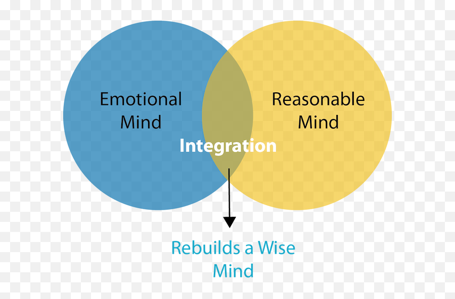 Managing Anxiety With Dialectical - Dialectical Behavioral Therapy Emoji,Dbt Emotion Regulation Skills