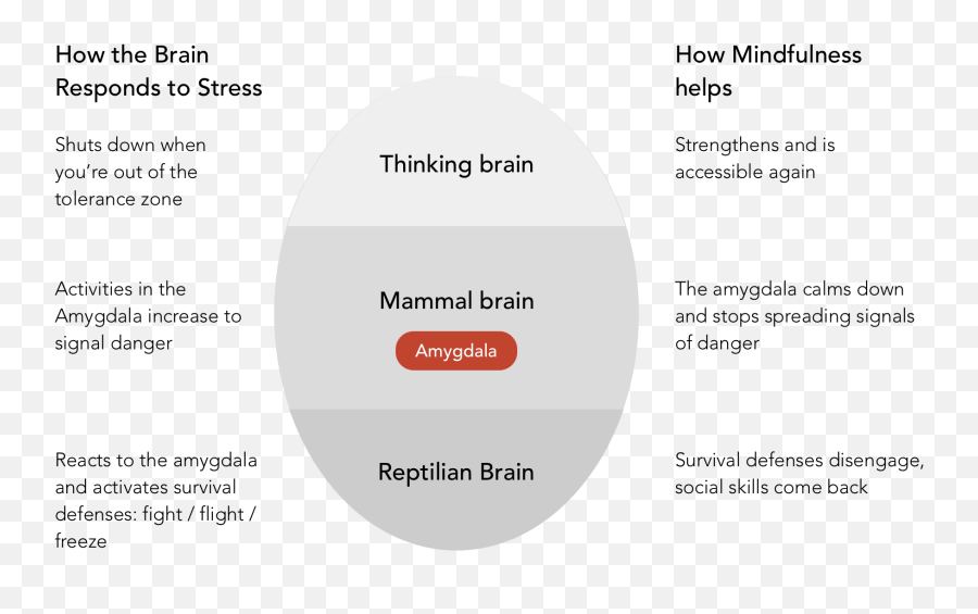 3 Simple Ways To Practice Mindfulness - Dot Emoji,Mindfulness Body Brain Emotions Images