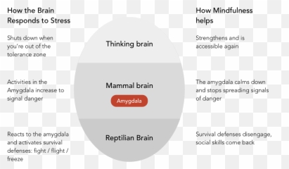 3 Simple Ways To Practice Mindfulness - Dot Emoji,Mindfulness Body Brain Emotions Images