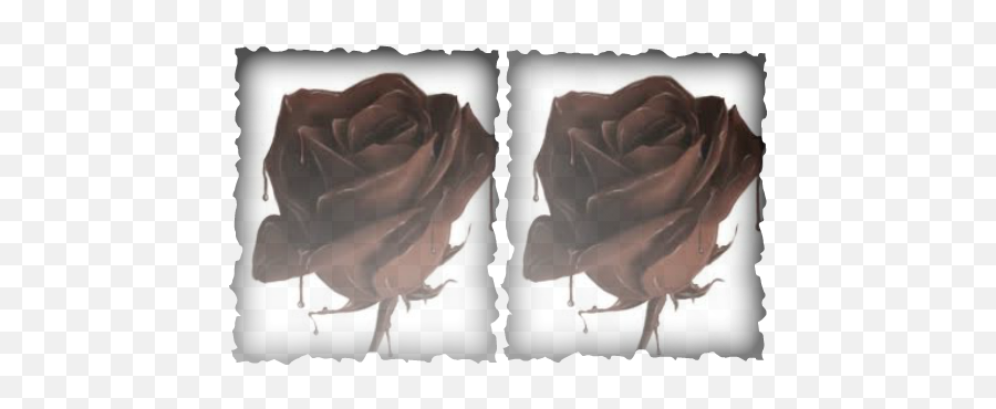 Poetry Korner - The Erotickookie Kove 1 Rose 1 Chocolate Emoji,A Poem To Touch Heart With Emotions